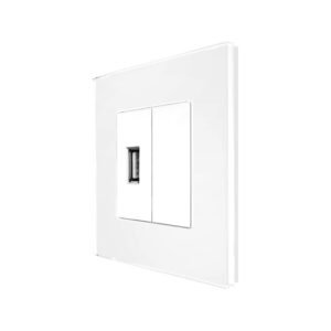 Priza USB + Blank cu Rama din Sticla LUXION