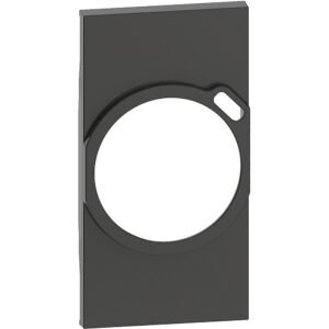 Placa 2 module pentru referintele KW4141USB, KG4141USB, KM4141USB Bticino Living Now KG63, negru