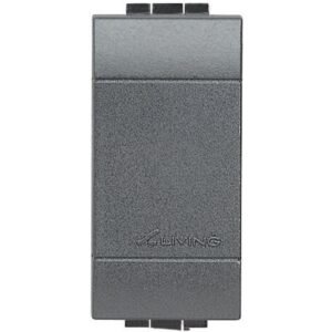 Tasta falsa 1 modul Bticino Living Light L4950, antracit