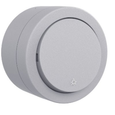 Intrerupator cu Revenire PT xOne Ovivo OV00898, 10A, 250V, IP20, gri