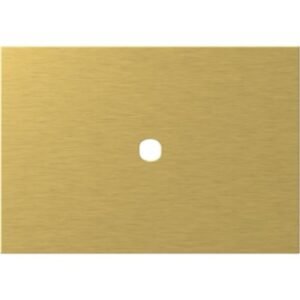 Modul Edge Rama metal auriu 1/3M pt pin, TEM Modul TEM-OG13MZP-U