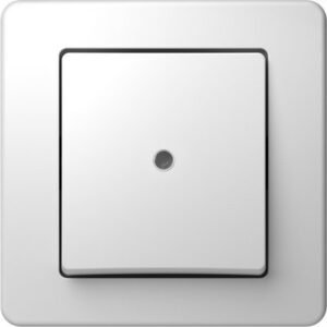 Ekonomik Int. Simplu 1P 10A IP20 Alb, TEM Modul TEM-SE10PWIN-B
